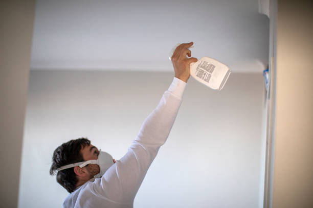 Best Residential Mold Remediation in Highlands, NJ