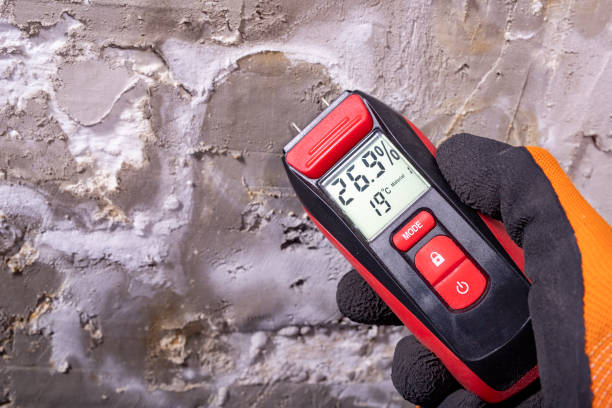 Best Attic Mold Remediation in Highlands, NJ