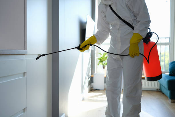 Best Attic Mold Remediation in Highlands, NJ