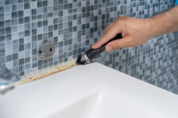 Best Basement Mold Remediation in Highlands, NJ