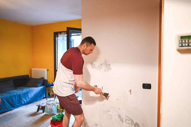 Best Crawl Space Mold Remediation in Highlands, NJ